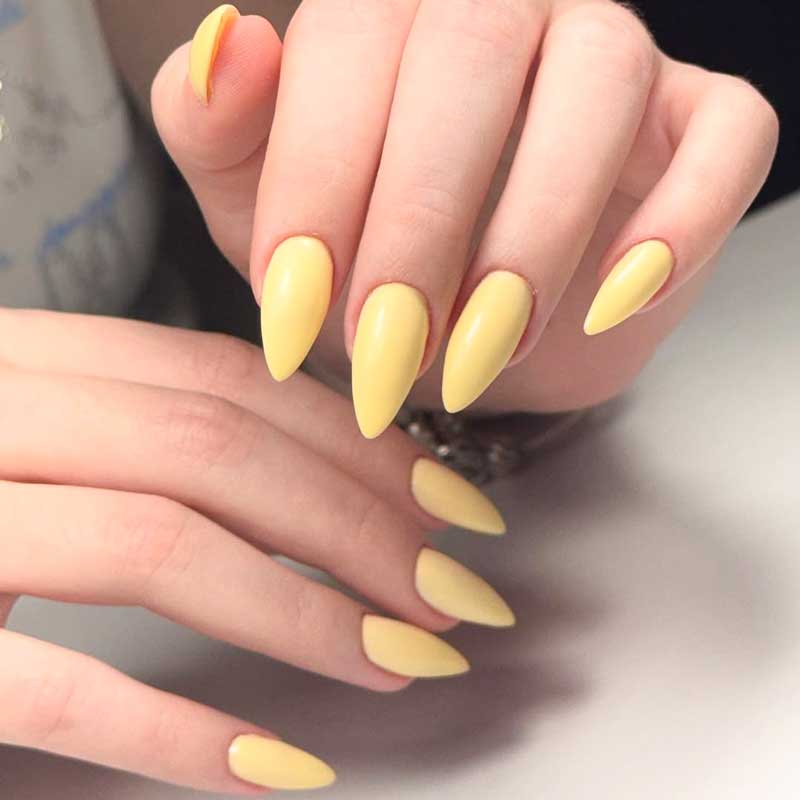 Gel Builder Fill-ins Different Colors